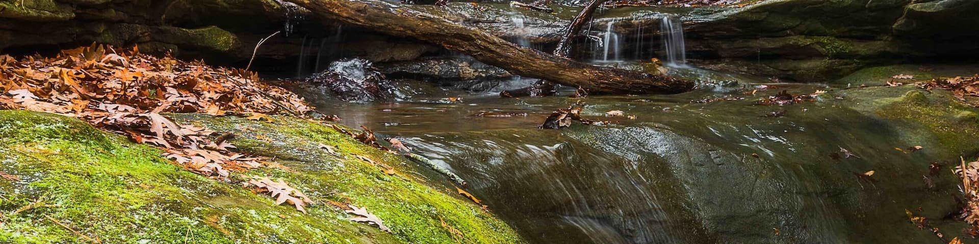 Una cascada se precipita sobre rocas cubiertas de musgo, rodeada de hojas otoñales.