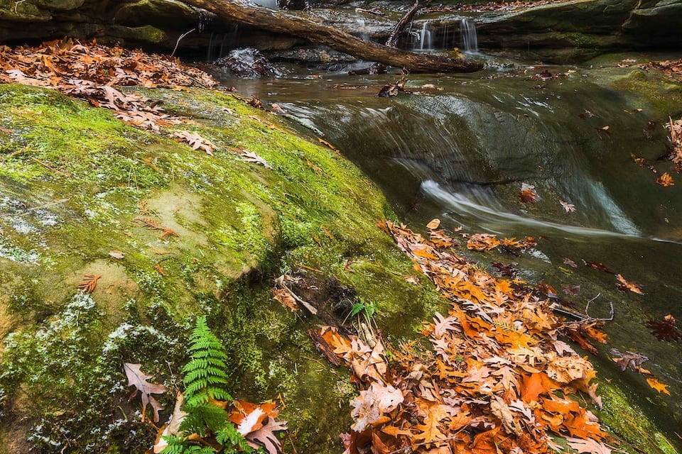 A waterfall cascading over moss-covered rocks, surrounded by autumn leaves.