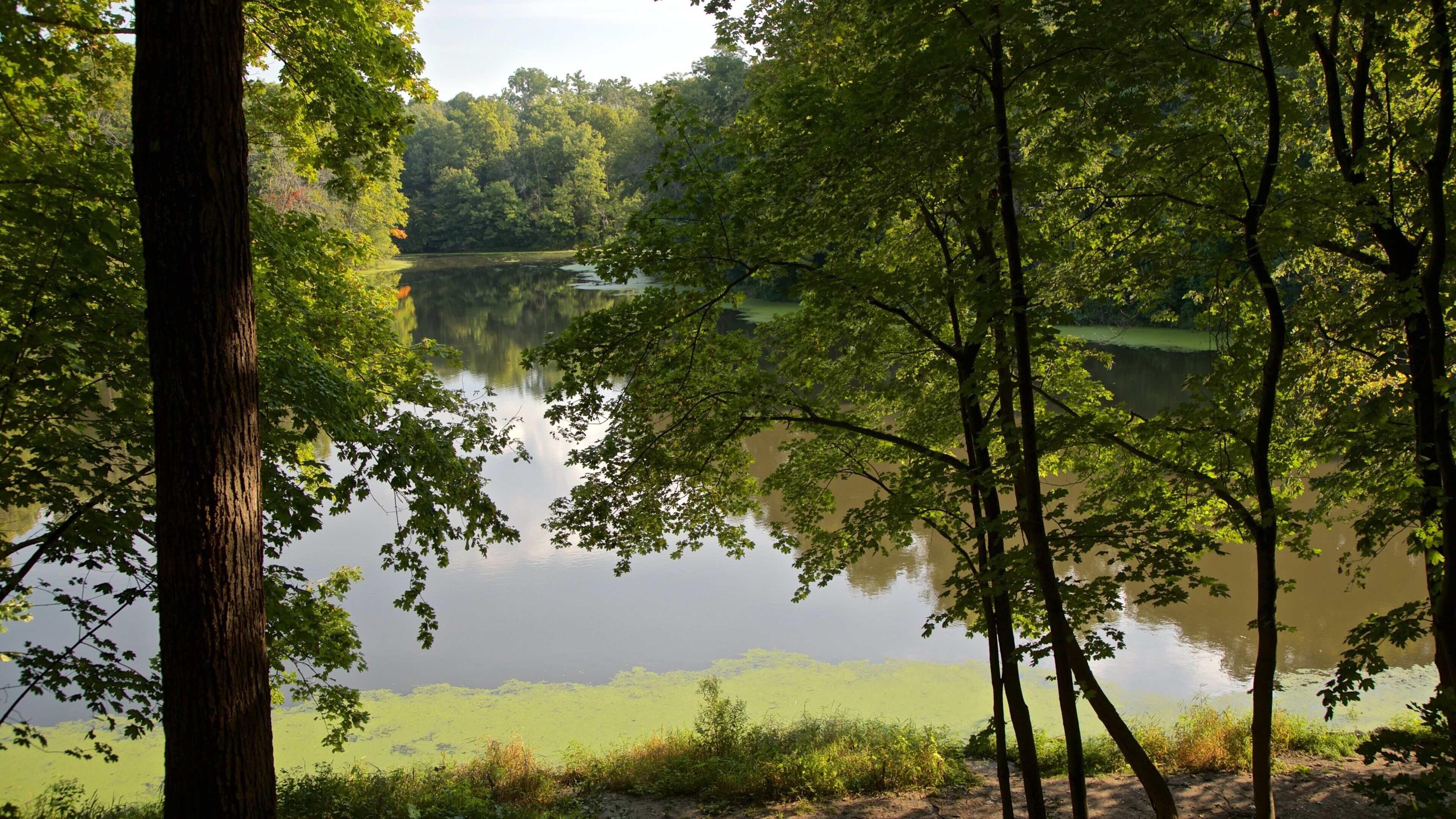 Matthiessen State Park mettant en vedette un lac ou un point d’eau