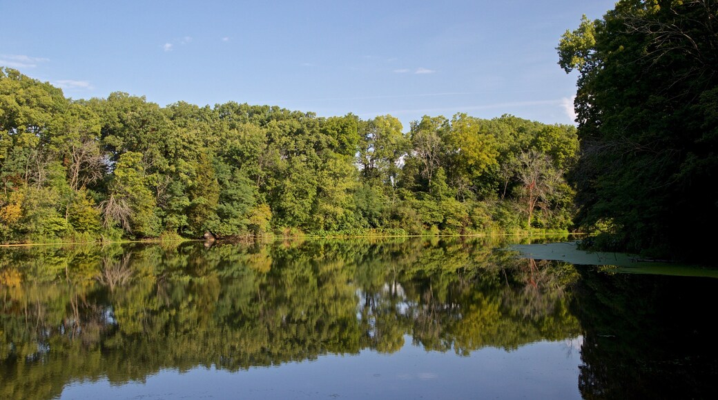 Matthiessen State Park featuring a river or creek
