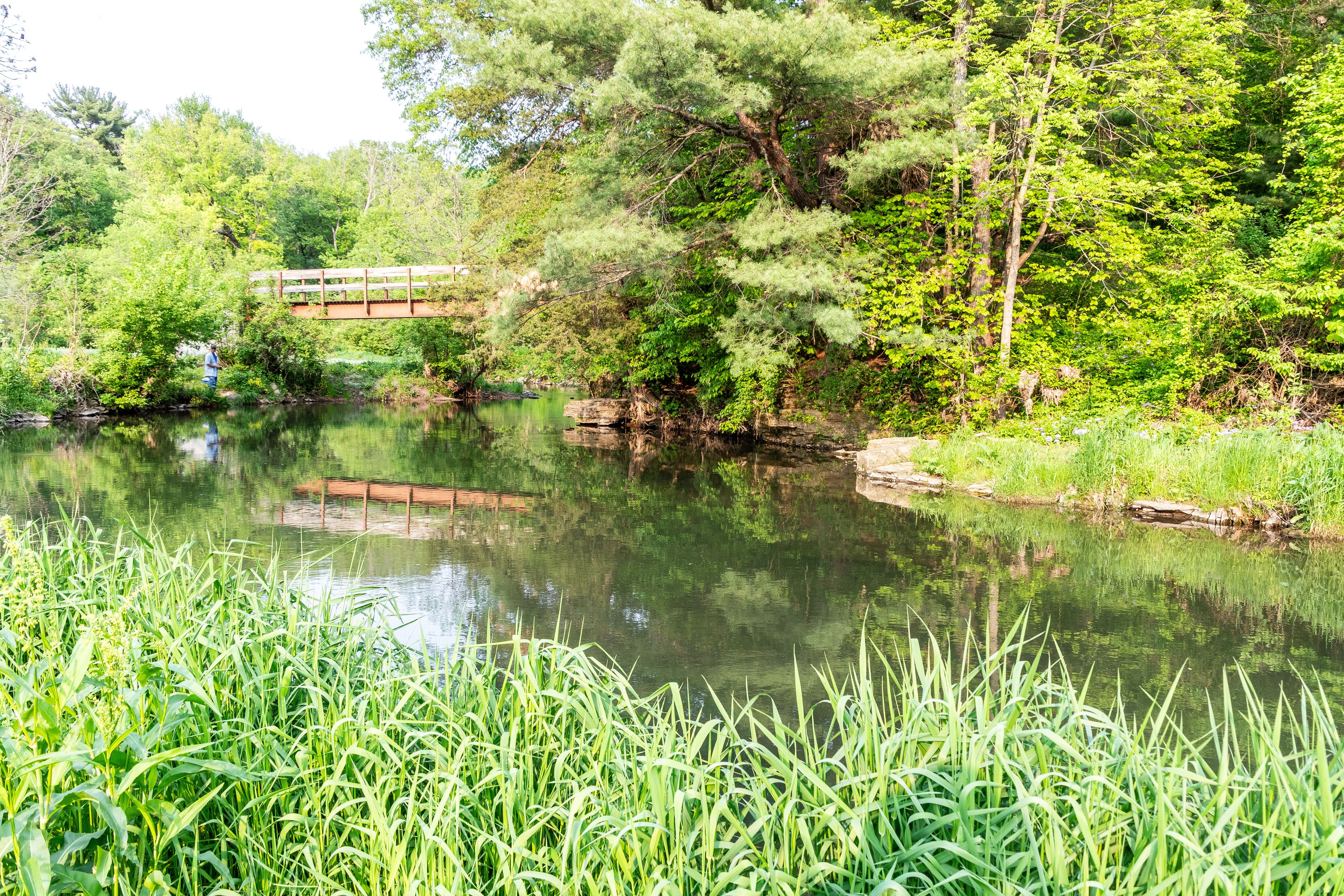 白松森林州立公園