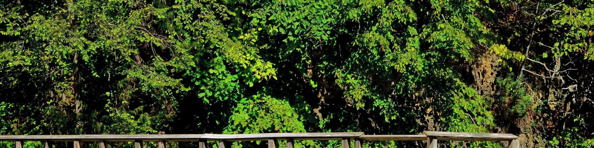 This is one of the bridge footings at White Pines Forest State Park. This is a really interesting park in which you actually have to drive through the creeks in two different spots to tour the area. Great hiking and camping at this state park with plenty of wildlife to view.