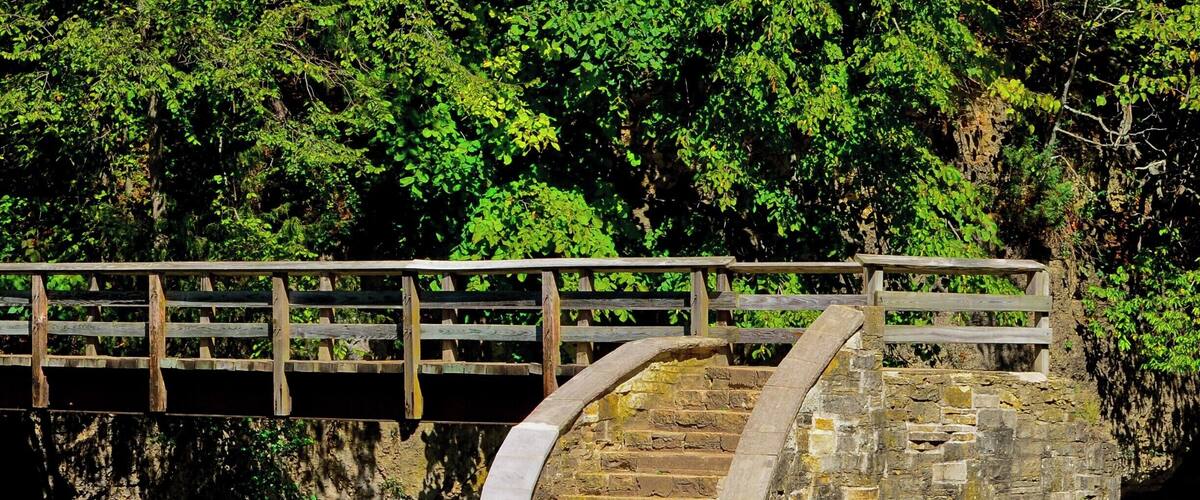A stone bridge with a wooden railing over a river, surrounded by lush greenery.
