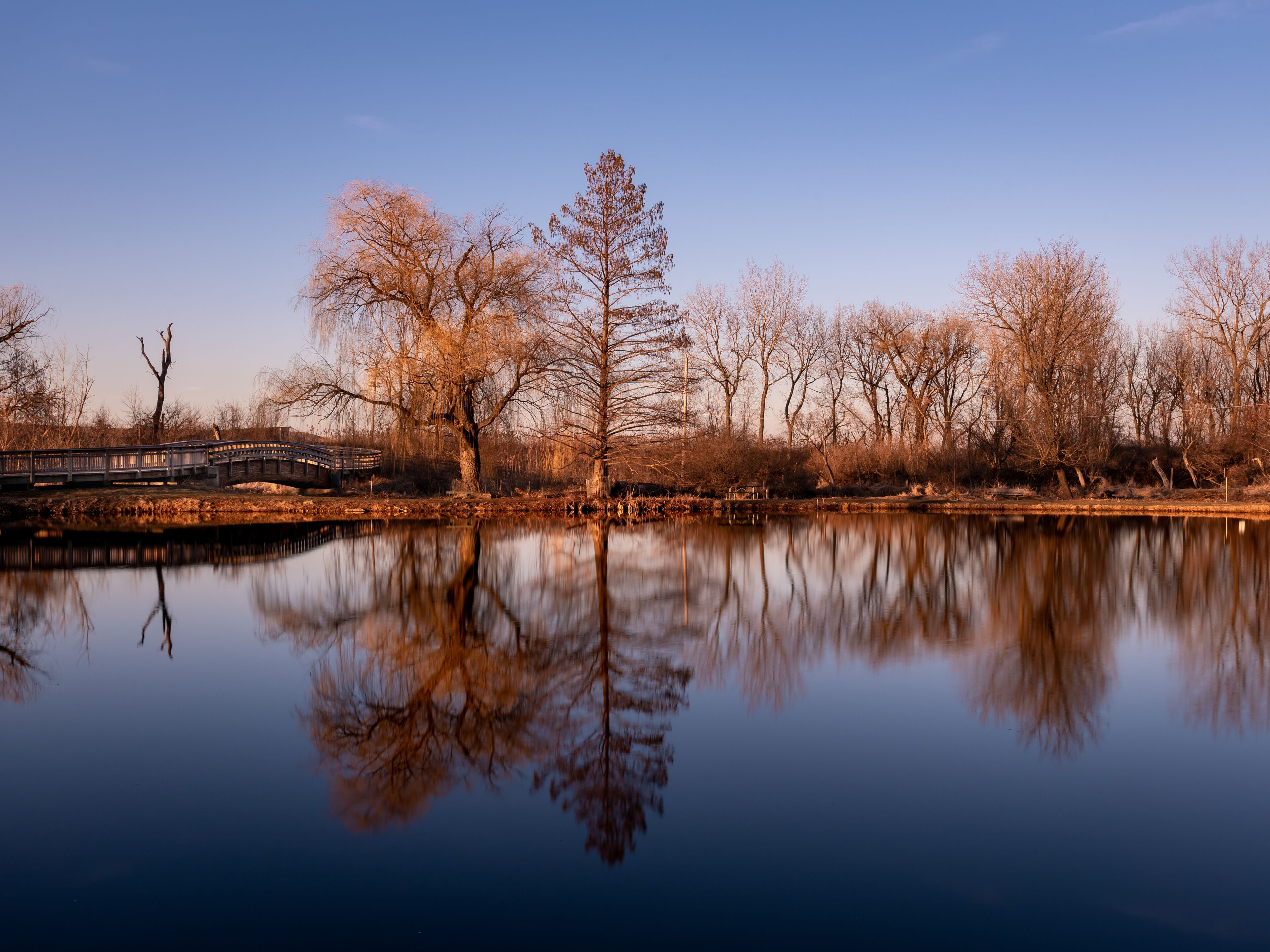evening light over a lake
