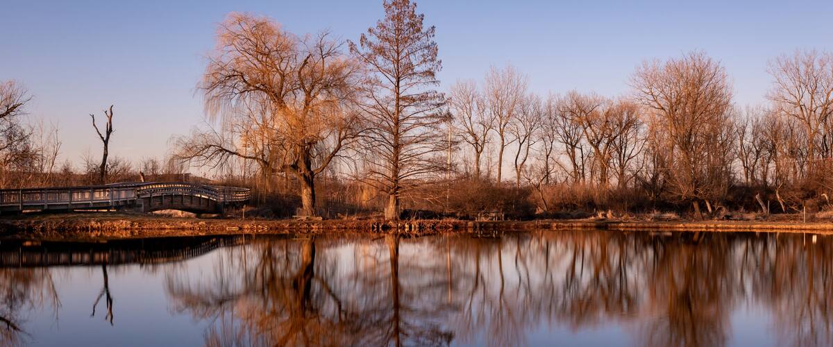 evening light over a lake