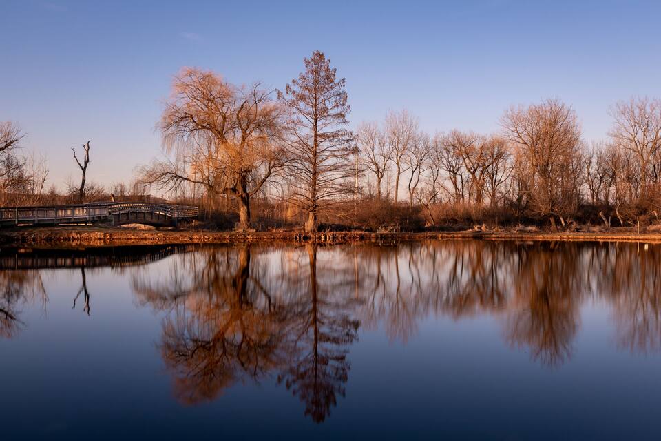 A calm river reflecting trees and a bridge.
