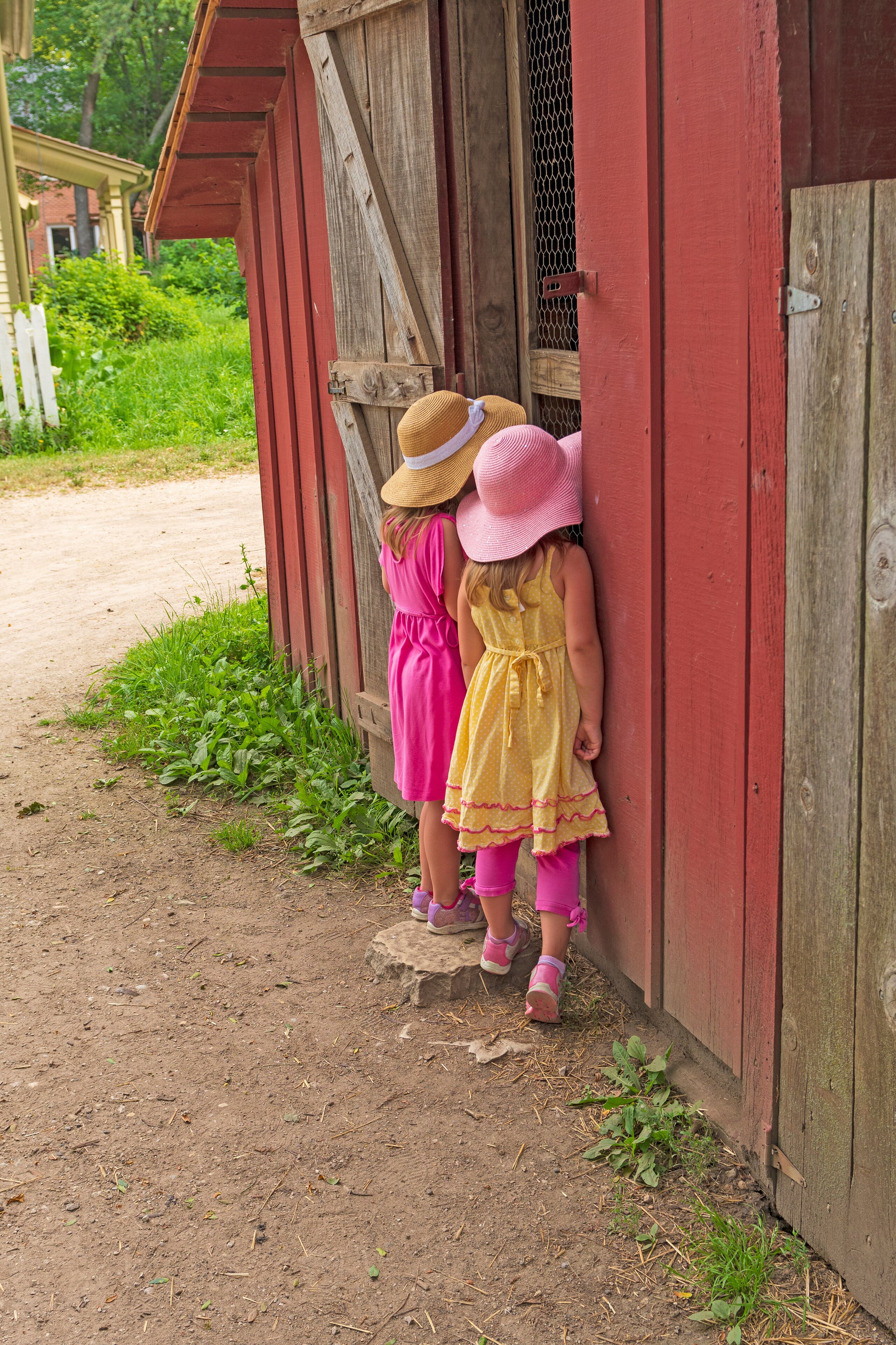Twin Sisters Looking to See What is in the Barn