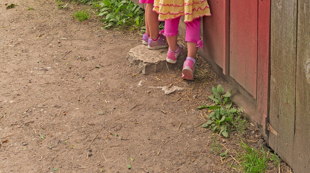 Twin Sisters Looking to See What is in the Barn