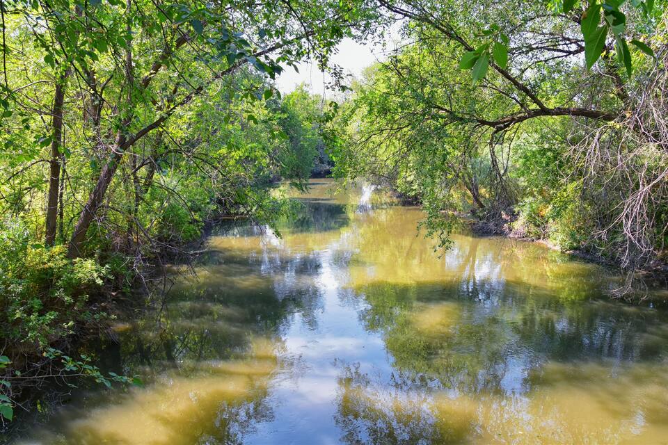 Een rivier omgeven door weelderige groene beplanting.