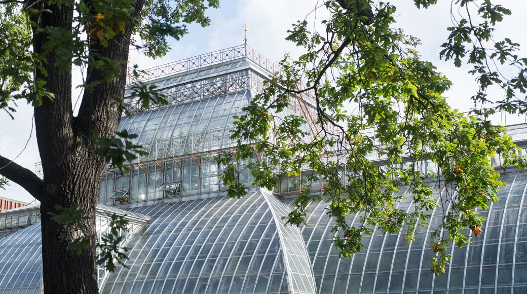 Oak Park Conservatory