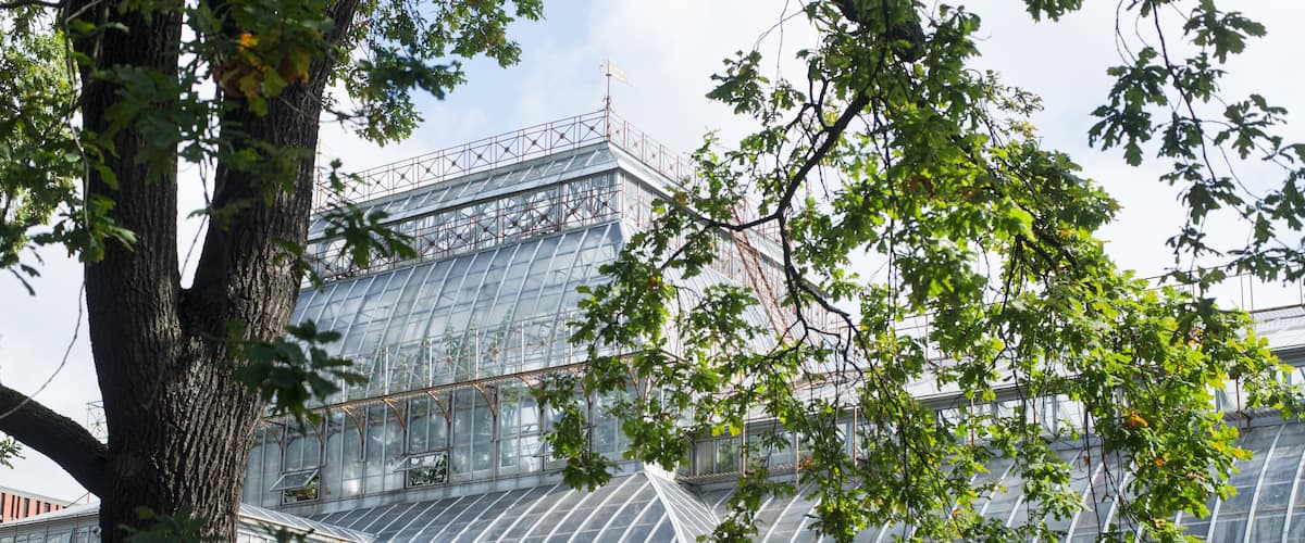 Botanical greenhouse in the Park