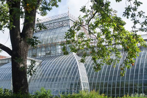 Botanical greenhouse in the Park
