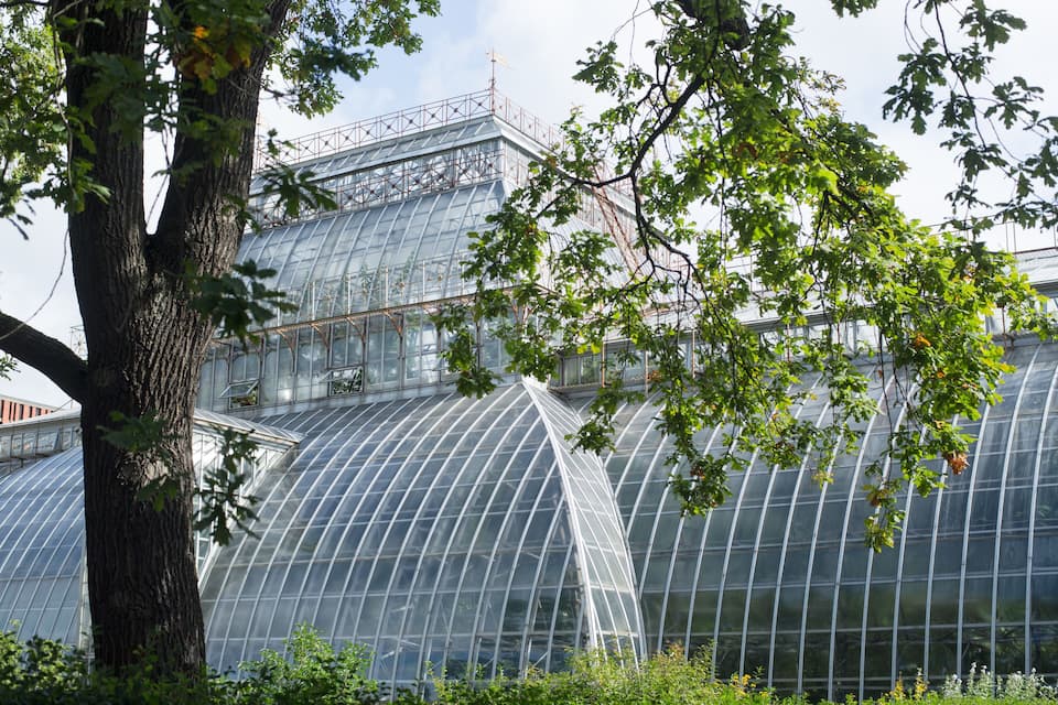 A large greenhouse structure with a curved glass roof, surrounded by trees.