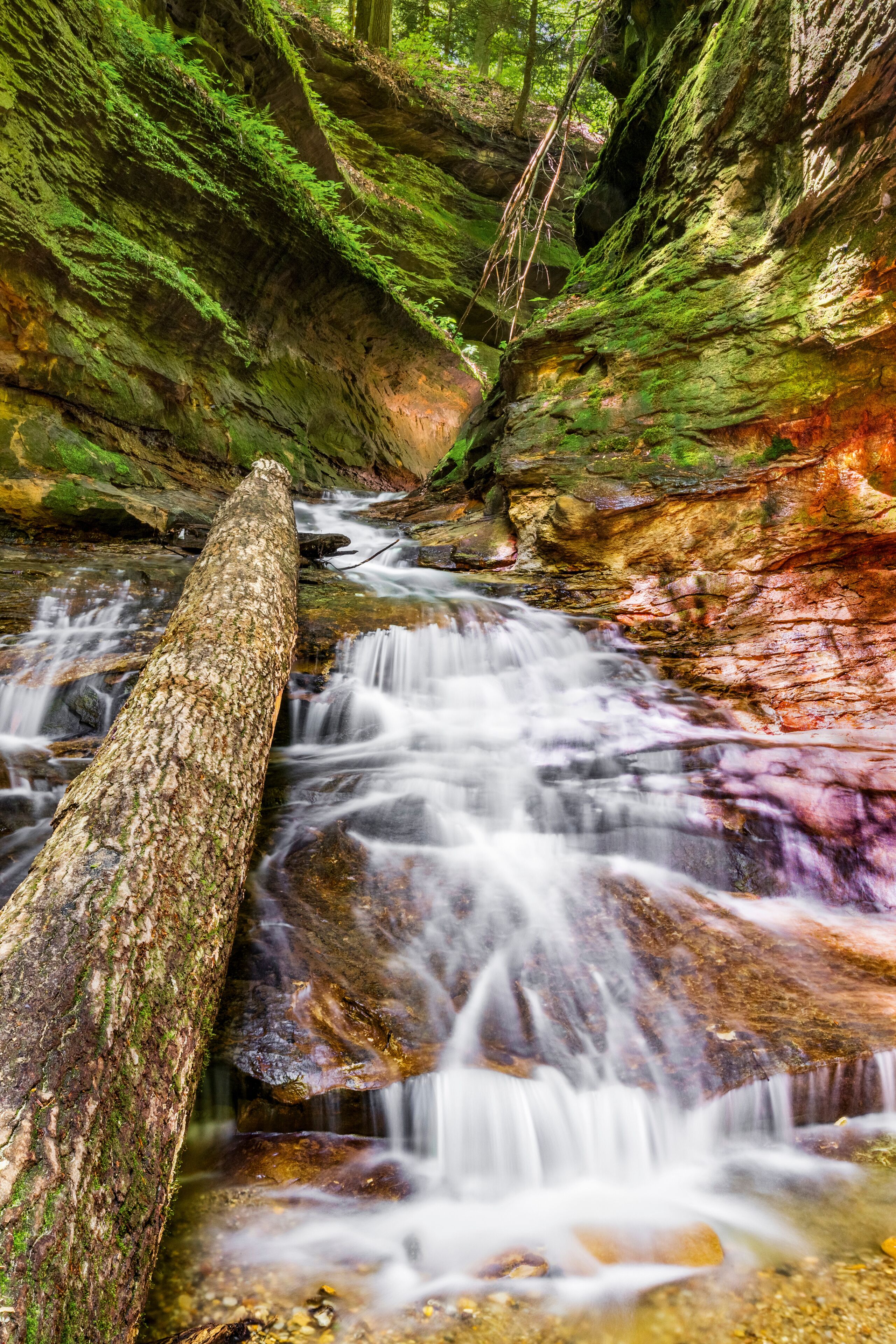 Rocky Hollow Waterfall