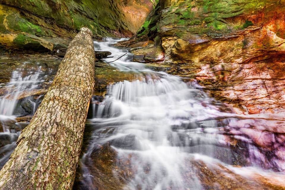 A forest stream with a fallen log and moss-covered rocks.