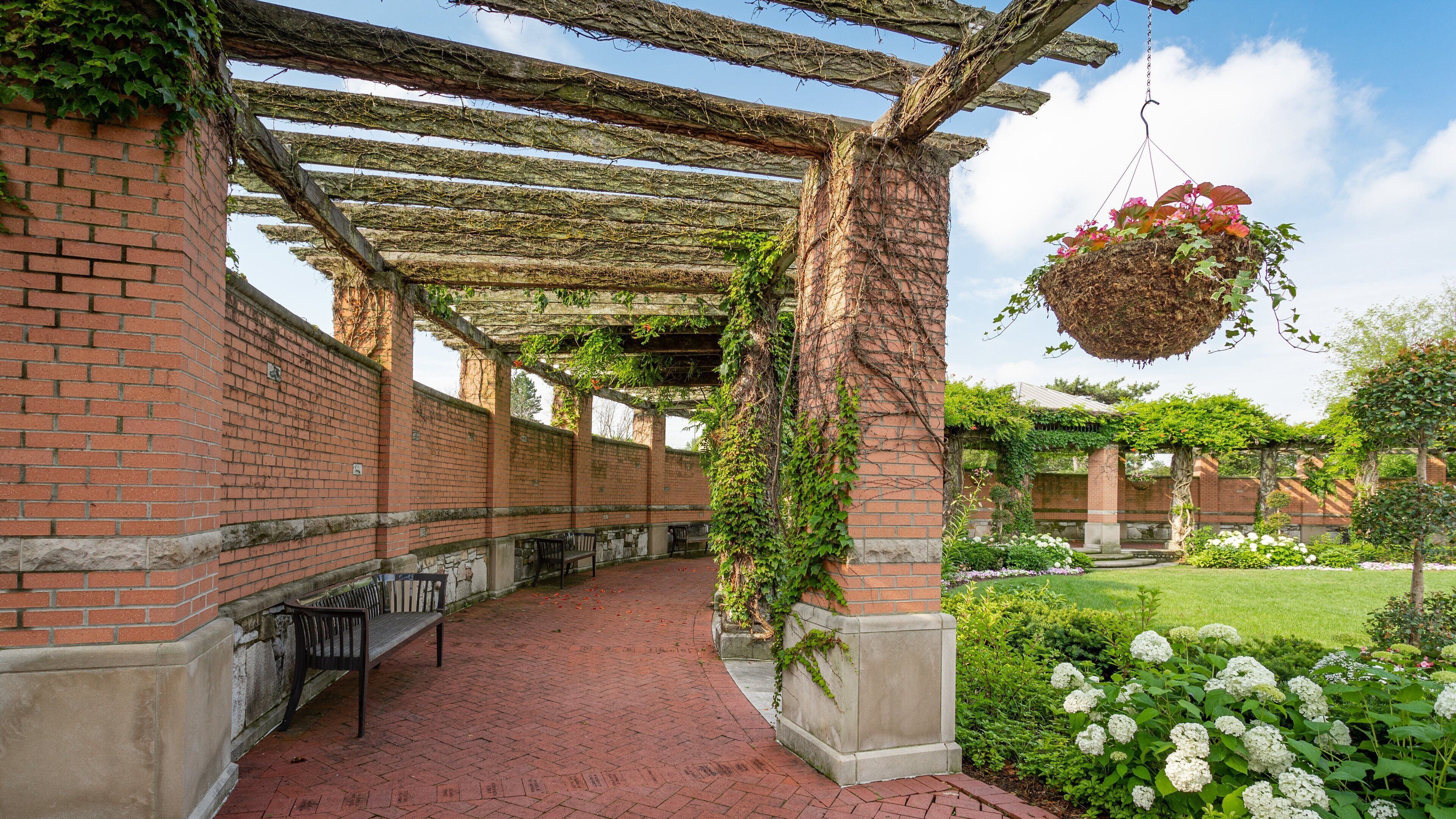 White River Gardens showing a park and flowers
