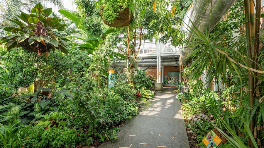 White River Gardens featuring a garden