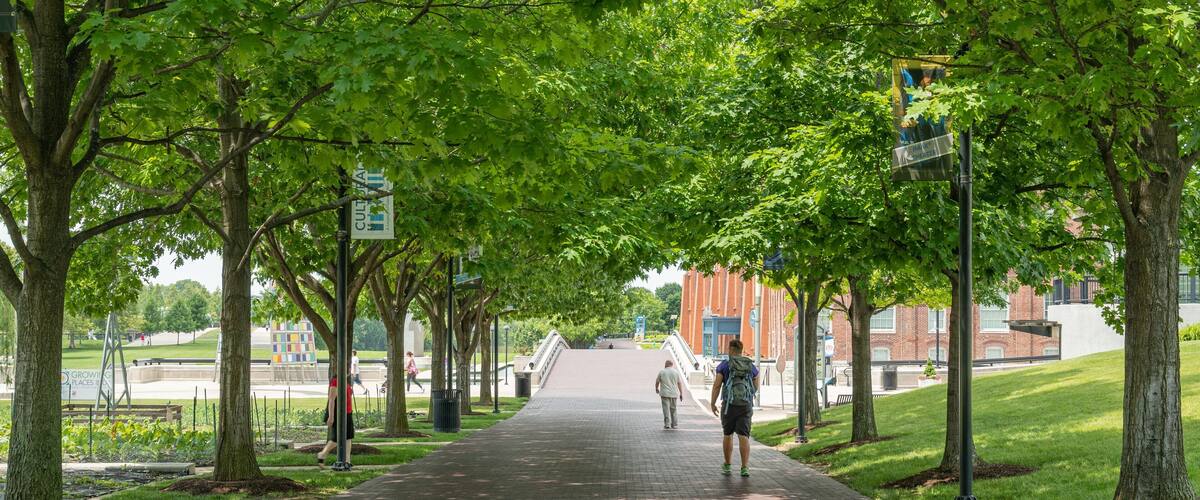 A tree-lined pathway leading to a building with a sign for the Max Theater.