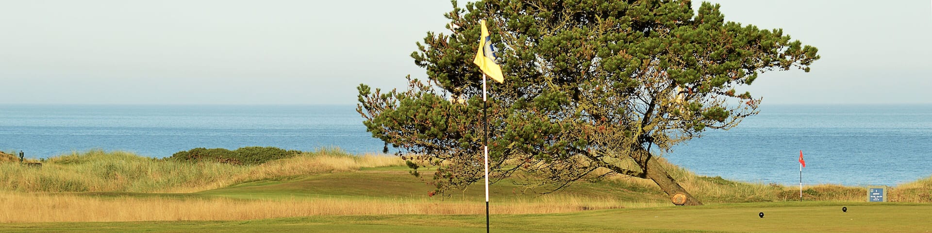 Golf: a revetted bunker on a Scottish links course
