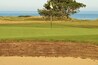 Golf: a revetted bunker on a Scottish links course