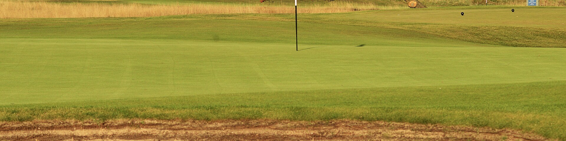 Golf: a revetted bunker on a Scottish links course