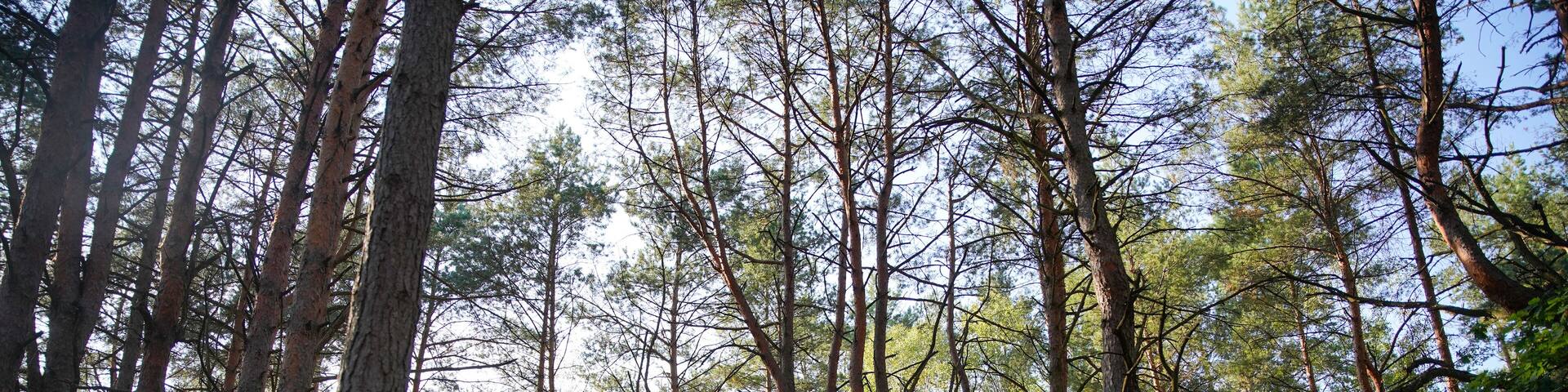 Natural Parc in Poland