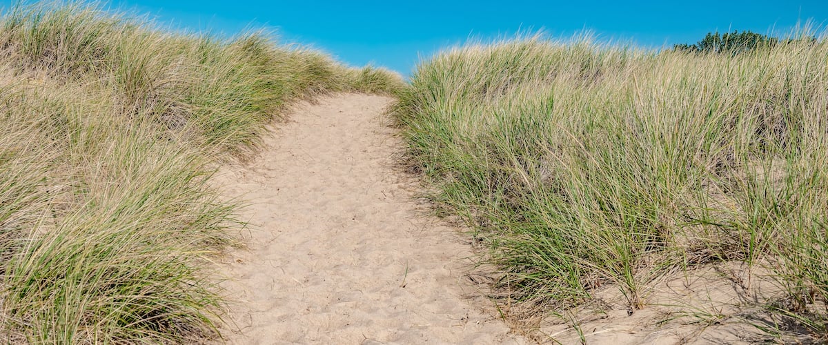 A sand dune and the sky  beyond. Focus near the top of the dune.