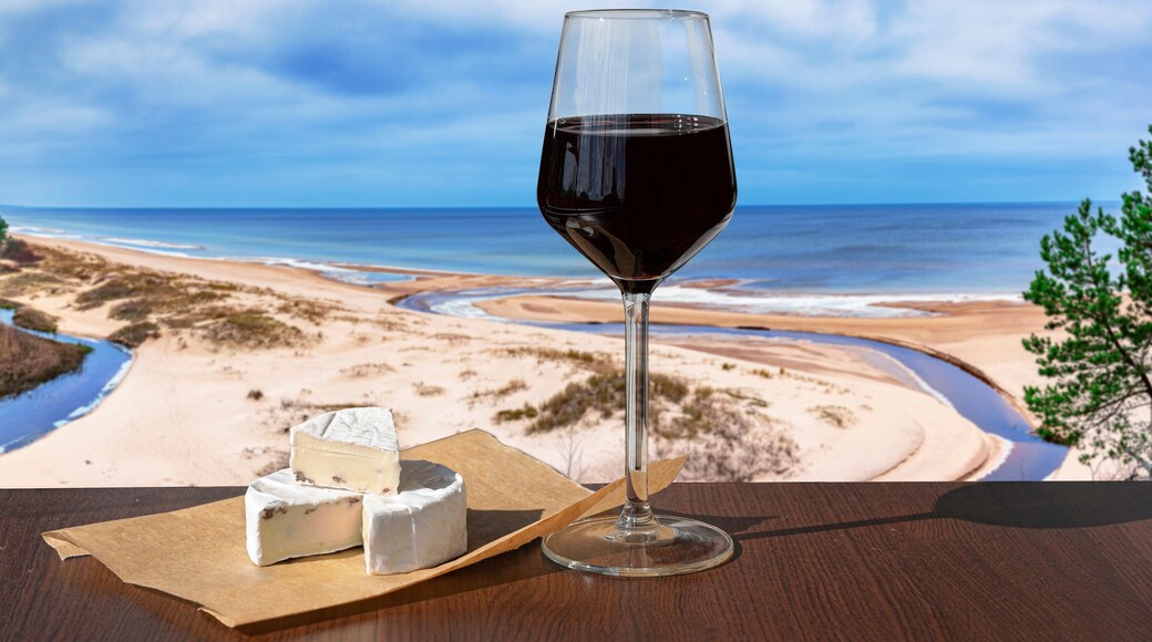Glass of red wine with brie cheese against view of beach and Baltic see. Beach with white sand, pine tree and blue sea or ocean.