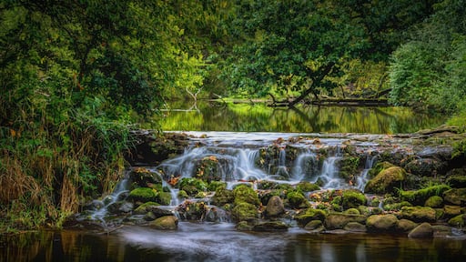 Waterfall at Bonneyville Mill State Park.