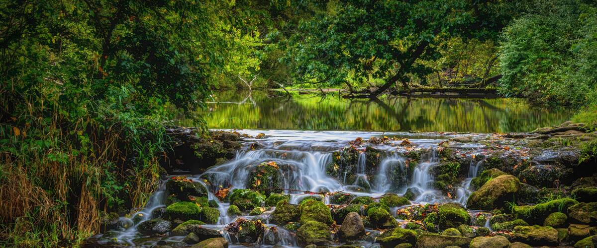A serene waterfall cascading over moss-covered rocks into a calm pond, surrounded by lush greenery.