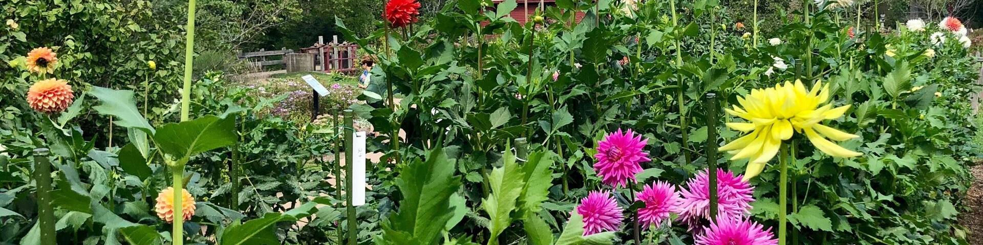 It was a beautiful day to take a walk around this lovely county park.