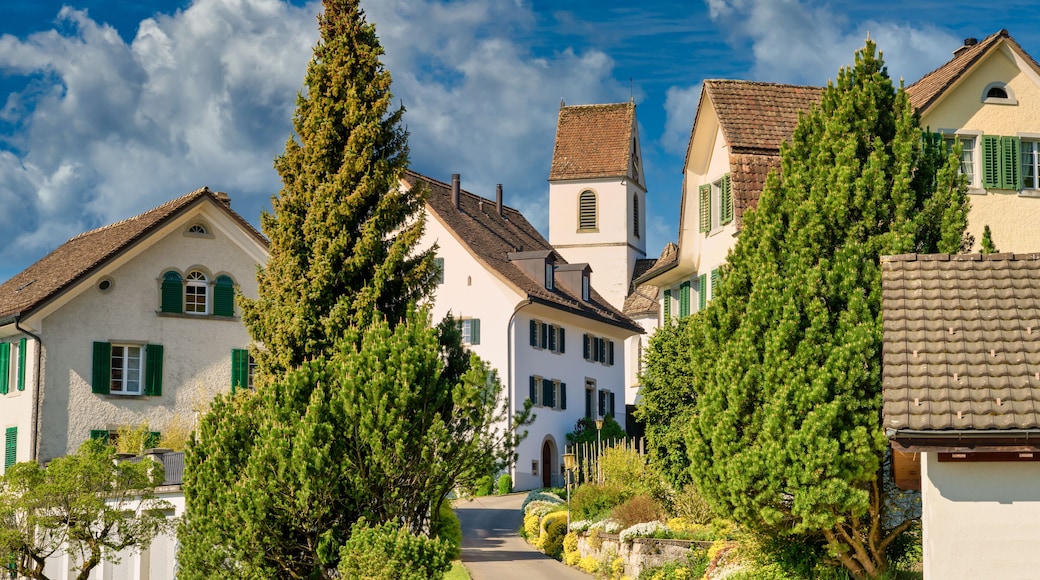 The historical village of Bollingen, on the shores of the Upper Zurich Lake (Obersee), Switzerland