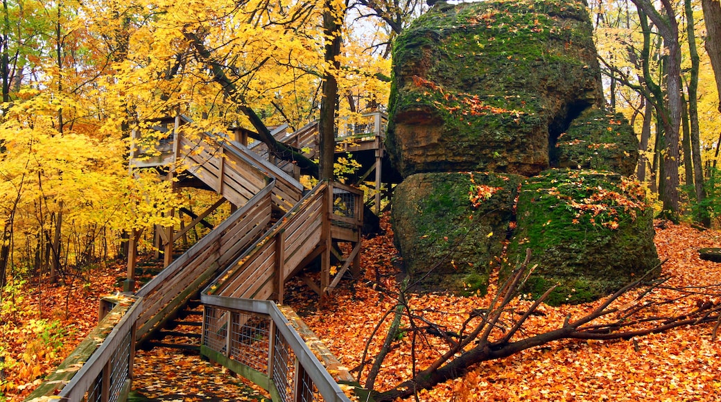 Parc Estatal Rock Cut