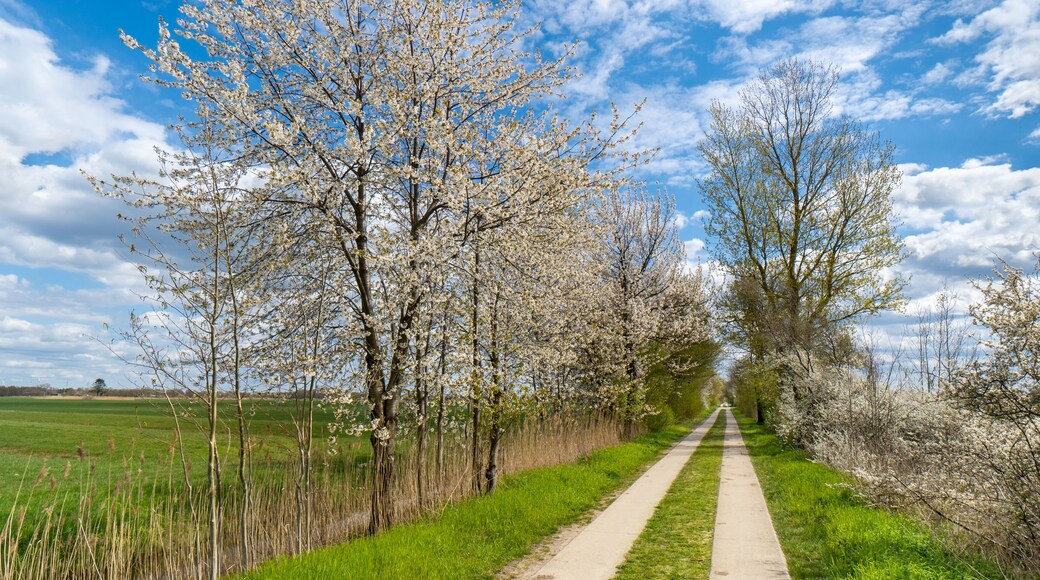 Glacial River Bike Trail
