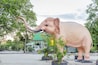 Un'imponente statua di elefante in un parco, sullo sfondo alberi e un edificio.