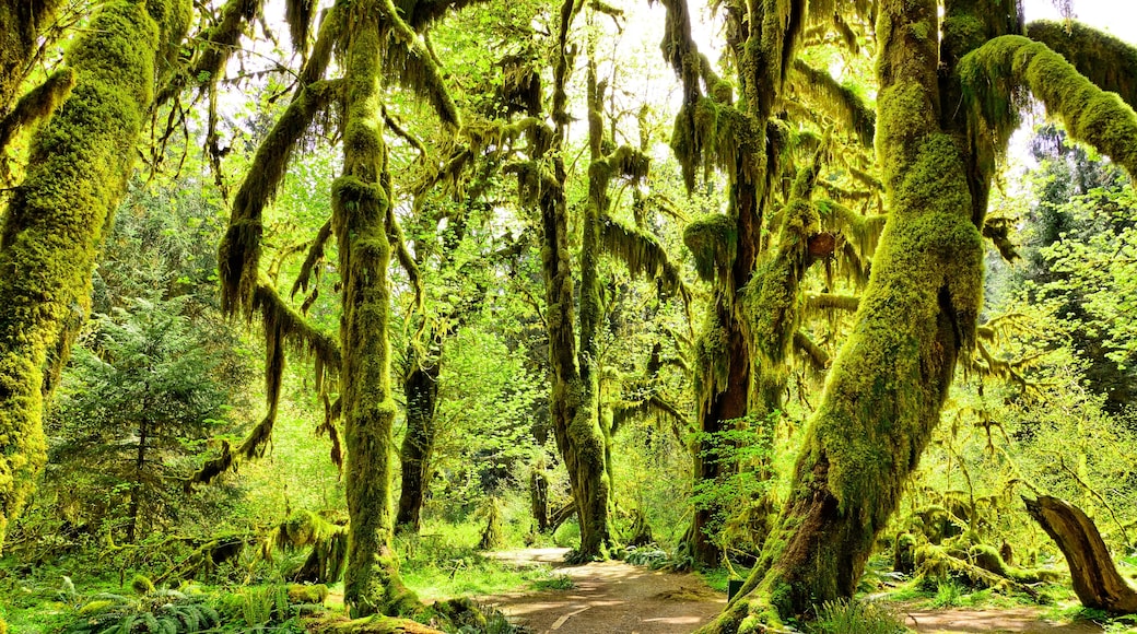 North Country National Scenic Trail