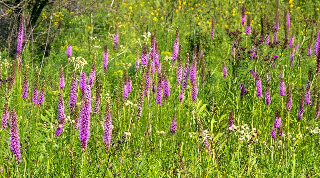 Moraine Hills State Park