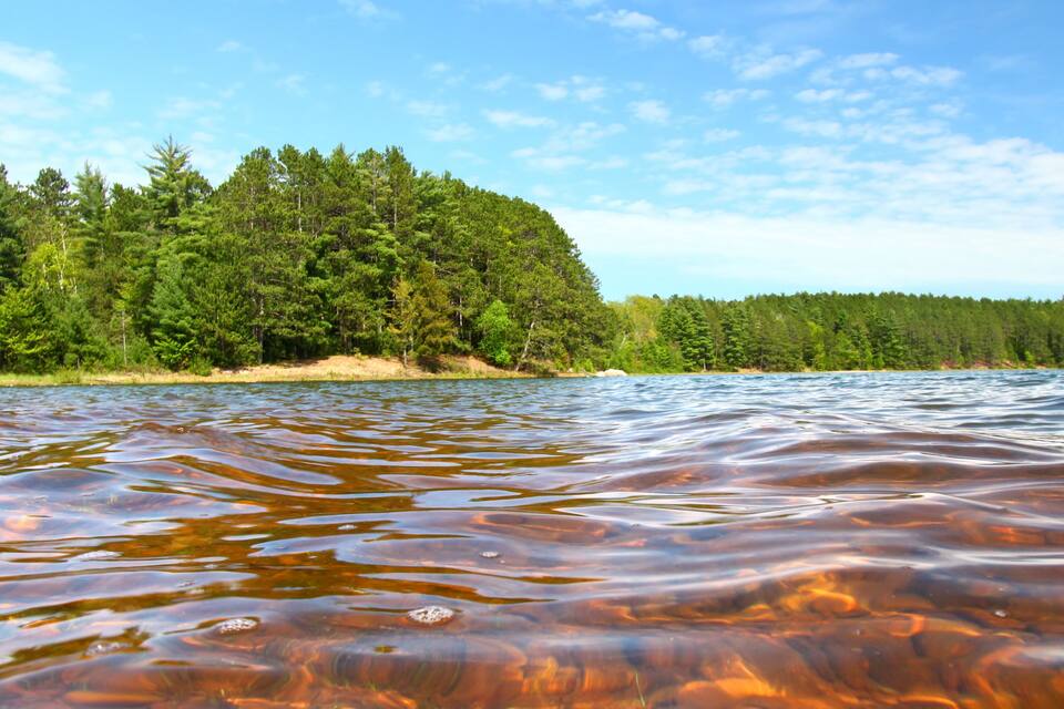 A lake with clear water, surrounded by dense forest and a sandy beach.