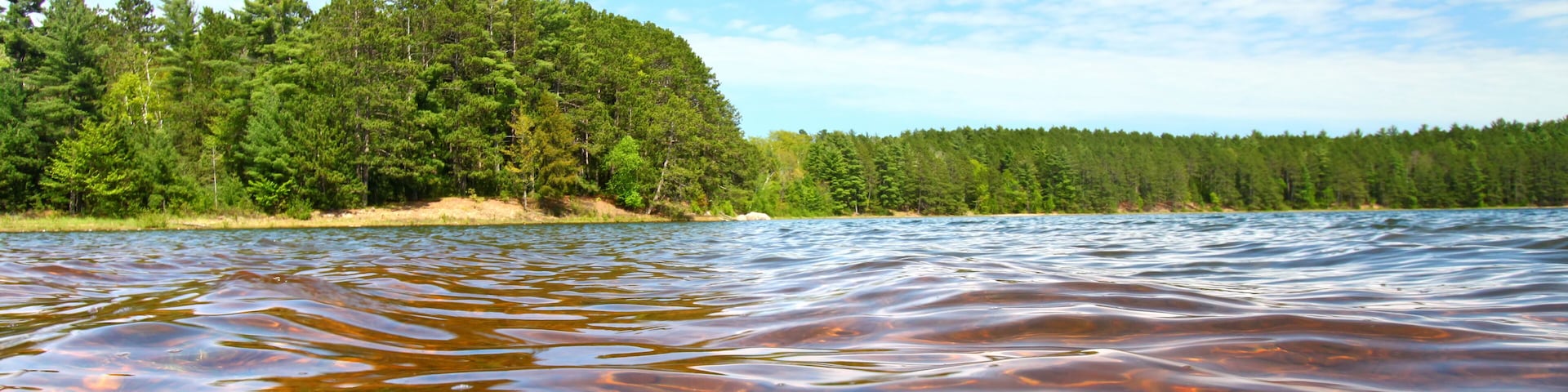 A lake with clear water, surrounded by dense forest and a sandy beach.