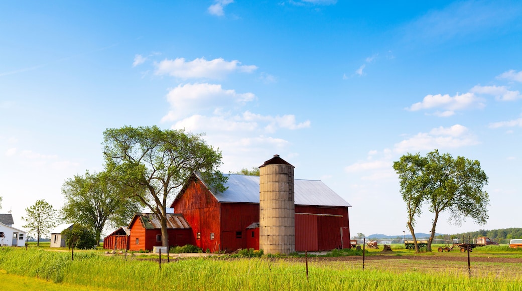 American Countryside