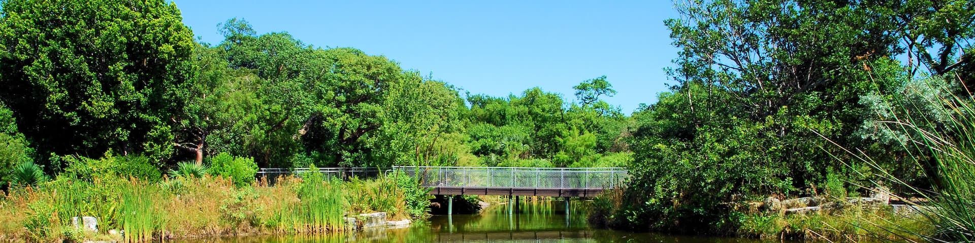 Key West Gardens / Views from the Gardens of Key West, Florida