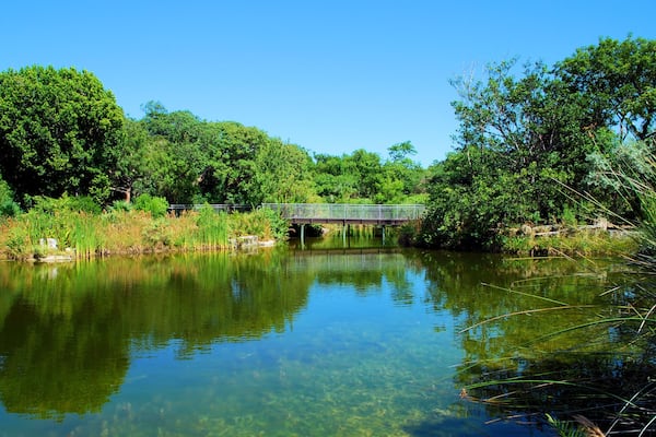 Key West Gardens / Views from the Gardens of Key West, Florida