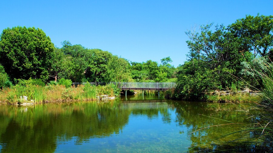 West of the Lake Gardens