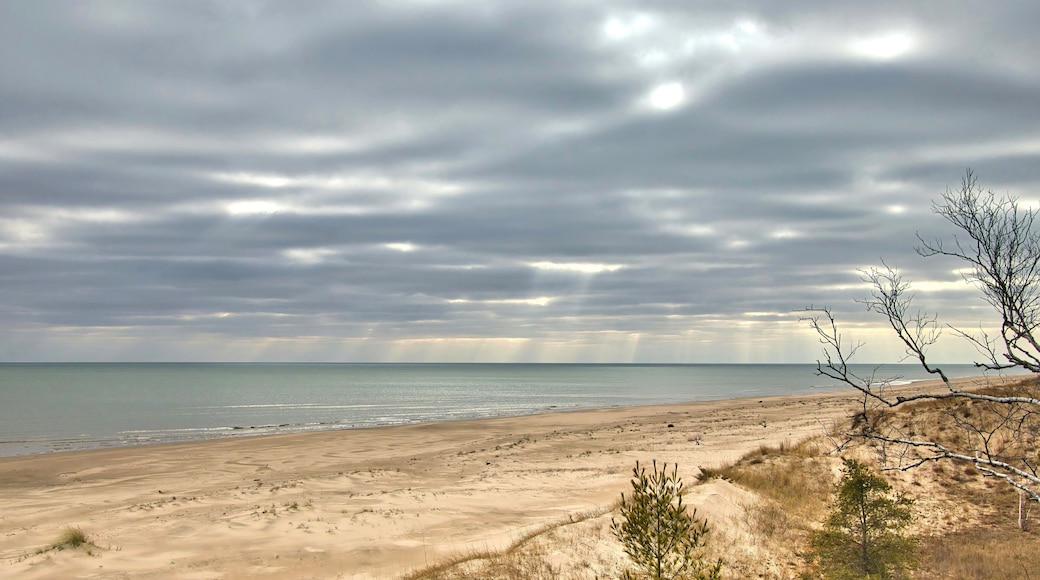 Point Beach State Forest