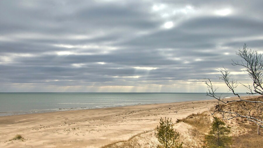 Bosc Estatal Point Beach