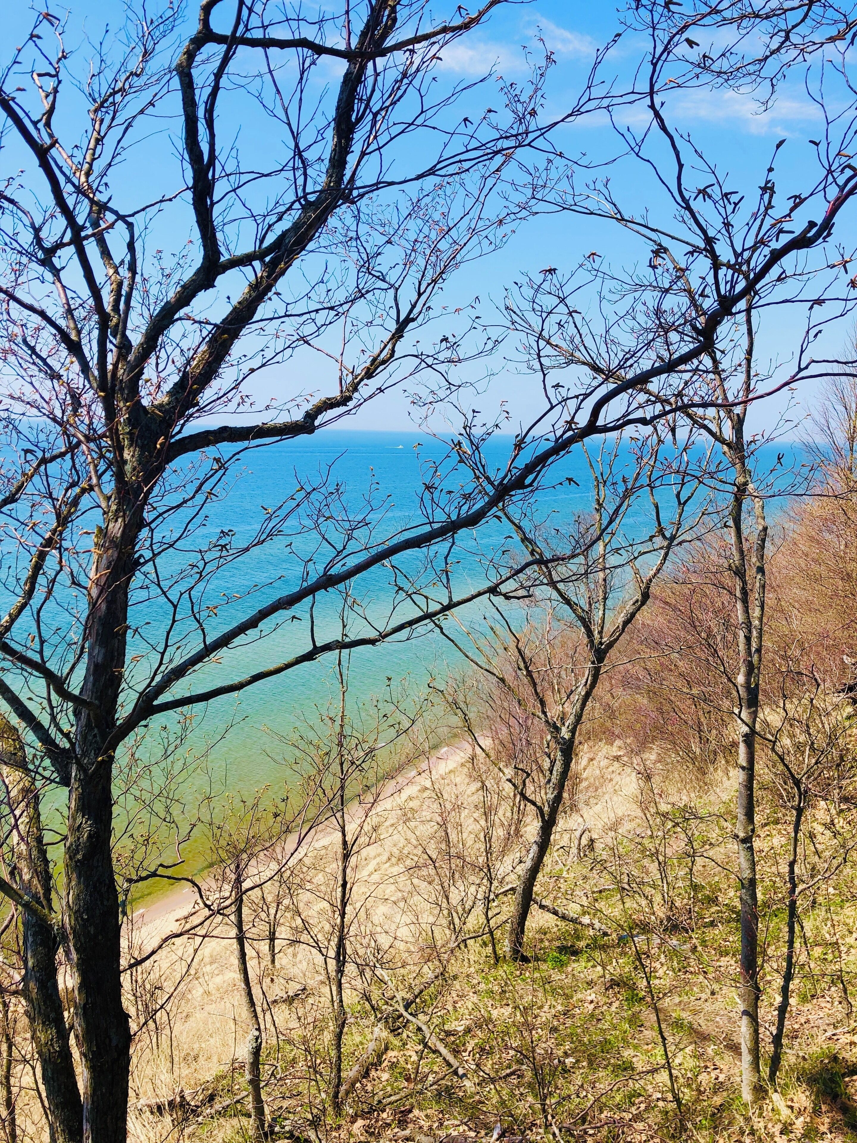 Where the beauty of the woods meets the shores of Lake Michigan. Kirk Park is a great place to take your four legged pal and let them run and play in the water.