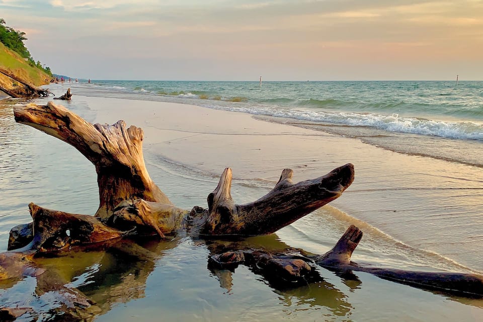 A beach with driftwood and a grassy hill in the background.