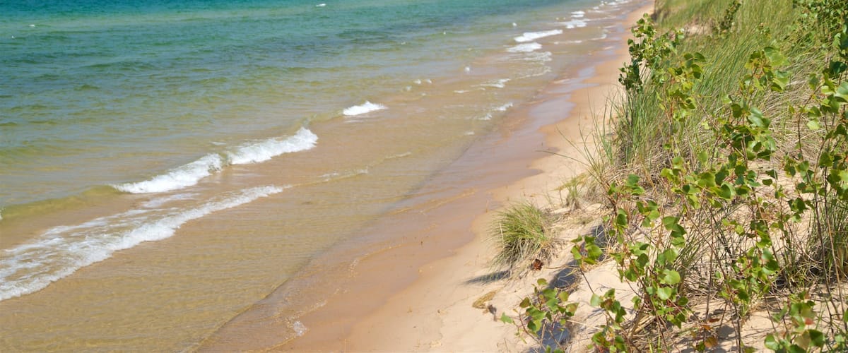 Muskegon State Park showing general coastal views and a sandy beach