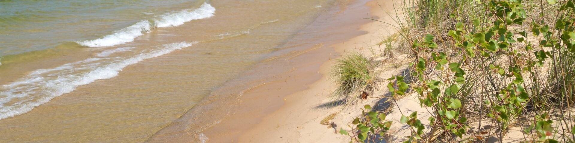 Muskegon State Park featuring a beach and general coastal views
