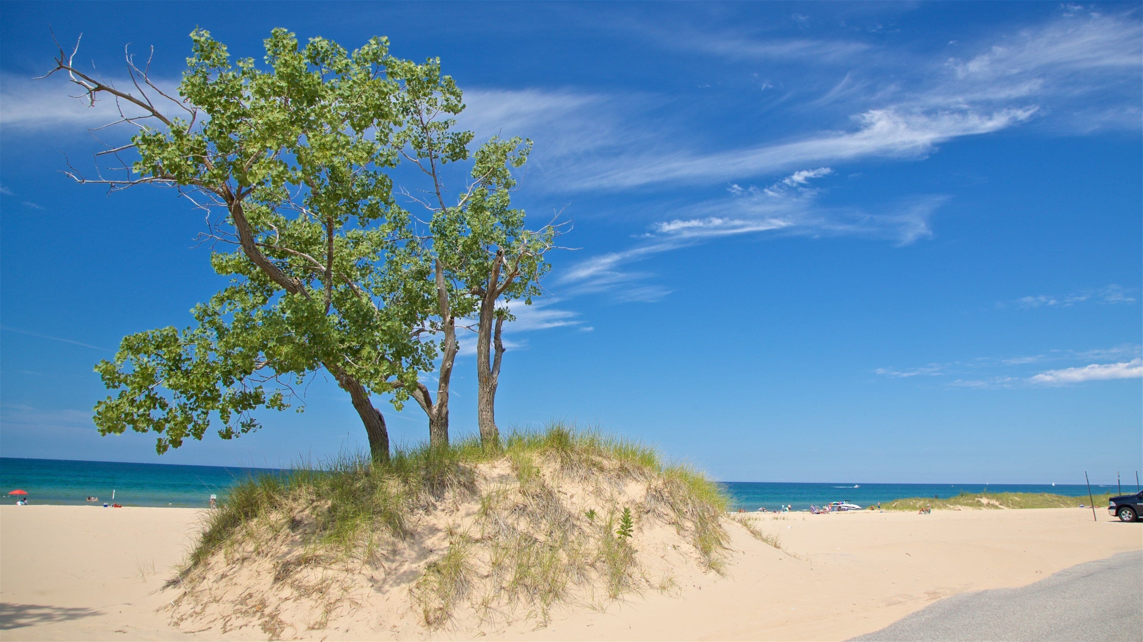 Muskegon State Park featuring a beach and general coastal views